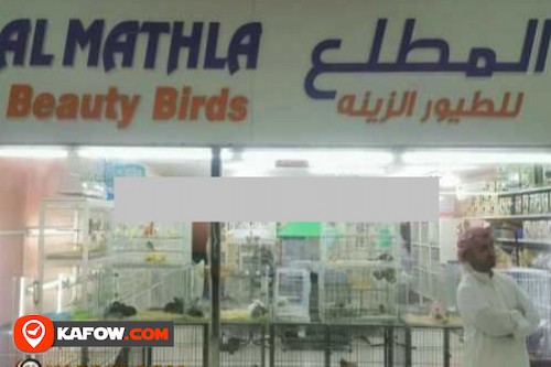 Al Mathla Beauty Birds