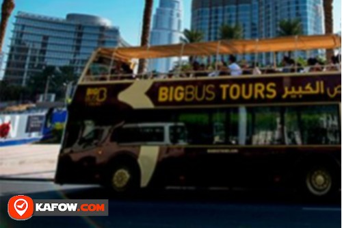 Big Bus Tours Counter