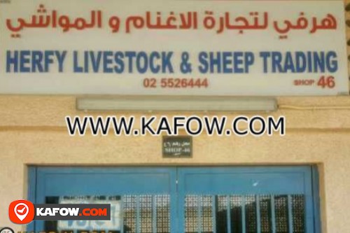 Harvey livestock & sheep trading