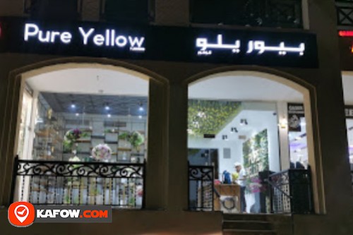 Pure Yellow Flower Shop