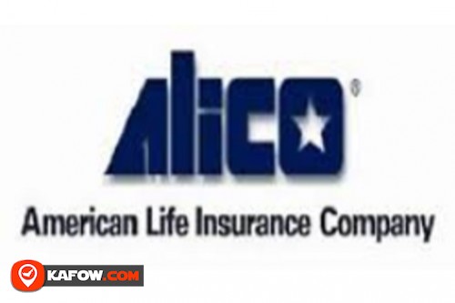 الشركة الامريكية للتأمين على الحياة