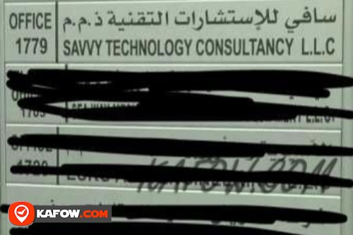 Savvy Technology Consultancy LLC