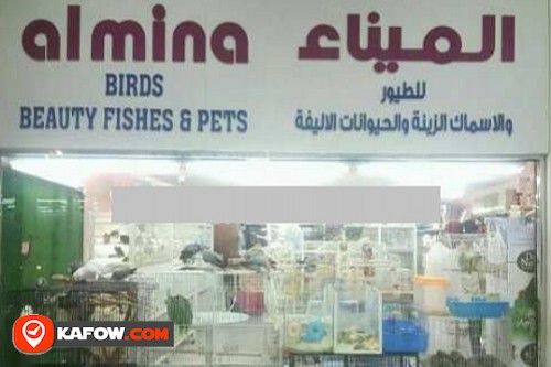 Al Mina Birds Beauty Fishes & Pets
