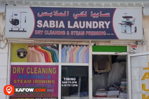 Sabia Ironing Clothes