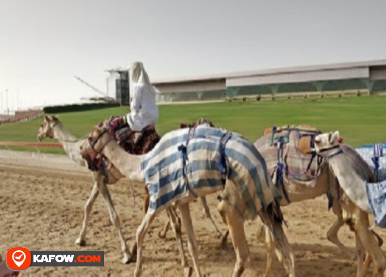 Camel Race Track 1