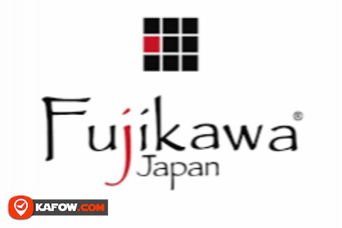 Fujikawa Japan Curtain Motors
