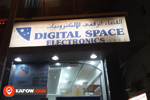 Digital Space Electronics LLC