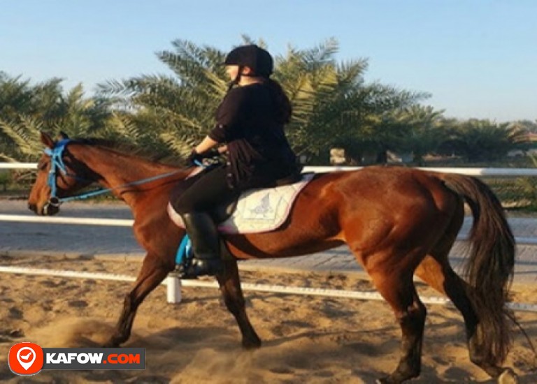 Stable Al Saif for Horses and Equestrian