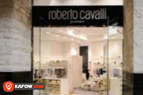 Roberto Cavalli Junior