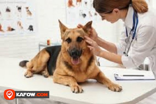 Al Marwa Veterinary Clinic