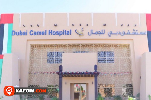 مستشفى دبي للجمال