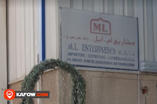 ML Enterprises LLC