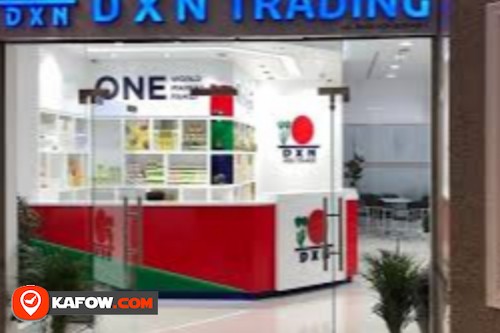 D X N Trading Abu Dhabi Br 2