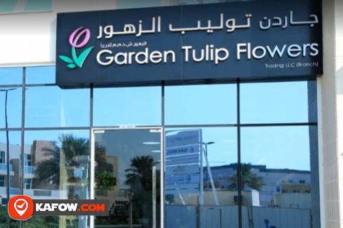 Garden Tulip Flowers