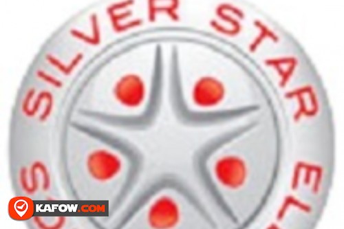 Silver Star Electronics
