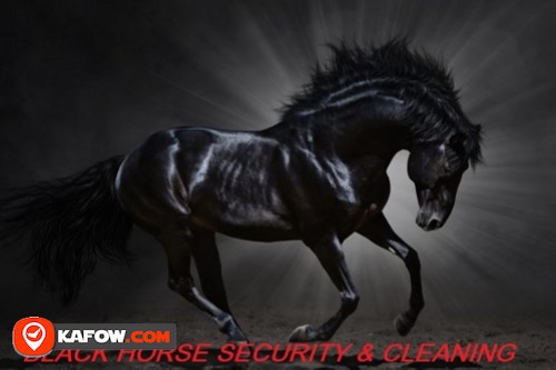 Black Horse Security & Cleaning Services