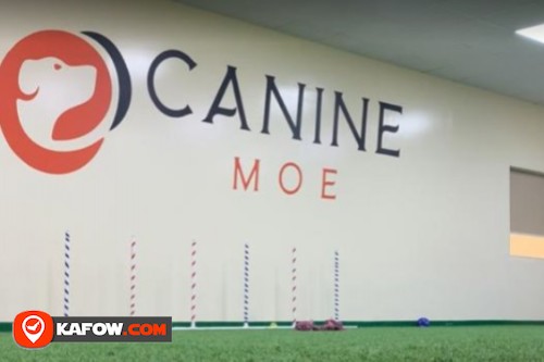 Canine Moe