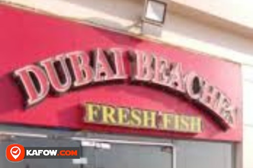 Dubai Beaches Fresh Fish