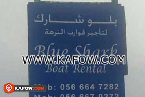 Blue Shark Boat Rental