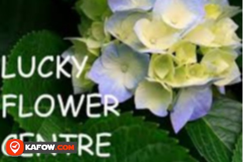 Lucky Flowers & Plants