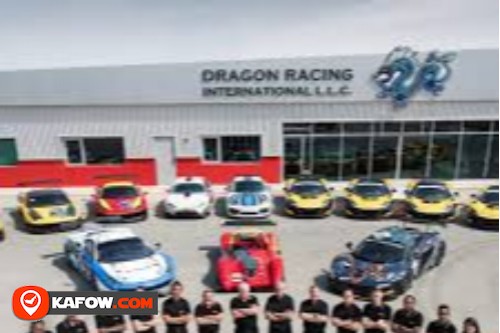 Dragon Racing Workshop