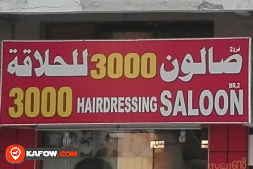 3000 HAIRDRESSING SALOON BRANCH 2