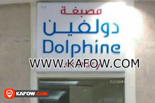 Dolphine Laundry Br.1