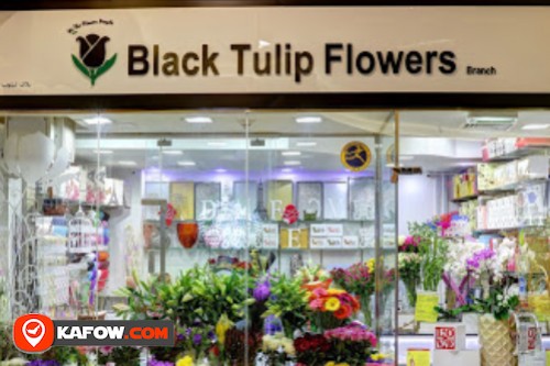 Black Tulip Flowers Branch