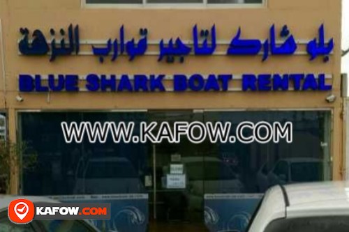 Blue Shark Boat Rental