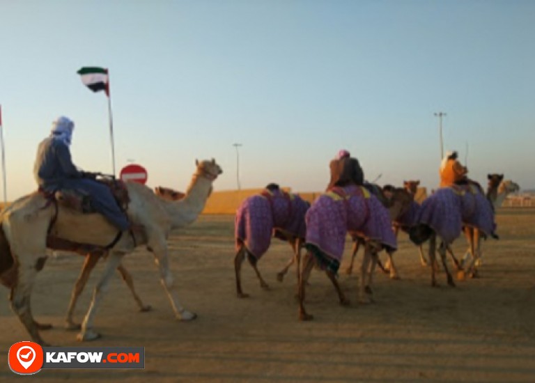 Al Wathba Camel Race Track