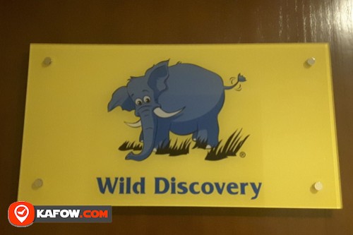 Wild Discovery Tourism & Holidays LLC
