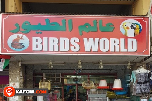 Birds World
