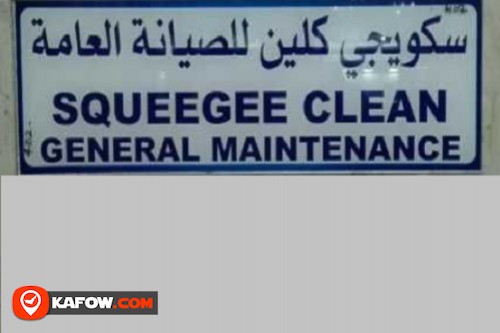 Squeegee Clean General Maintenance