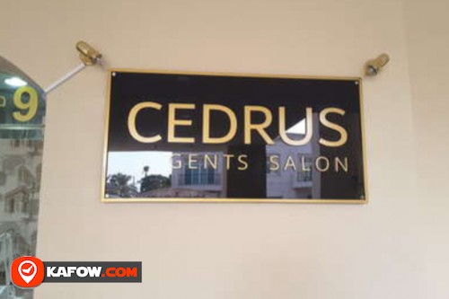 Cedrus Gents Salon