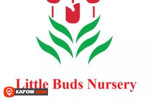 Little Buds Nursery & Day Care