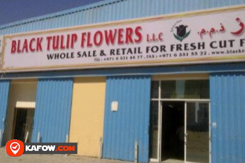 Black Tulip Flowers LLC