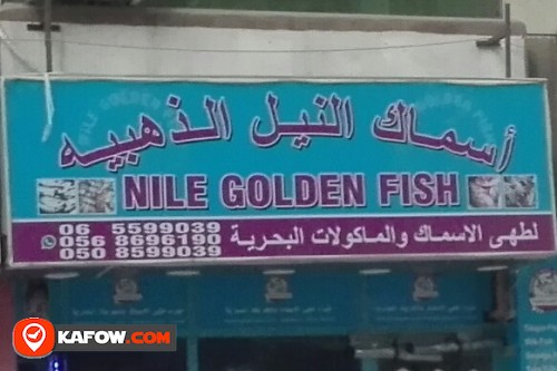 أسماك النيل الذهبيه