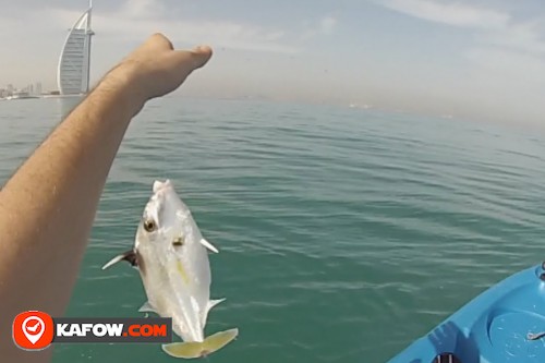 رحلات الصيد في دبي