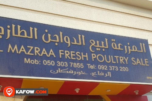 Al Mazraa Fresh Poultry Sale