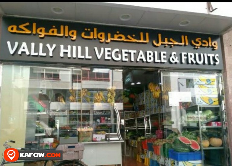 VALLY HILL VEGETABLE & FRUITS