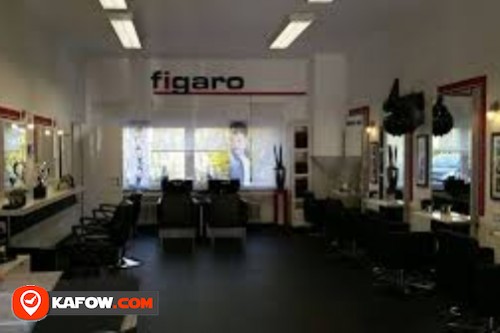 Figaro Salon