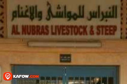Al Nubras Livestock Steep