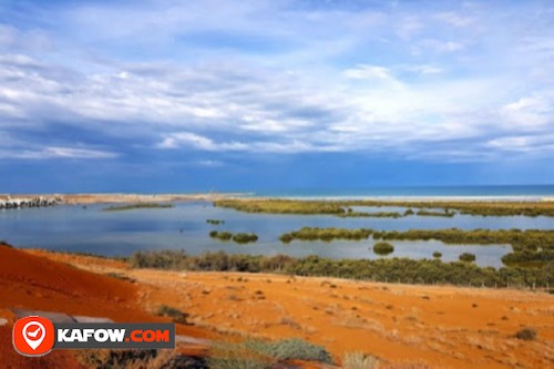 Natural Beach Near Mangroves