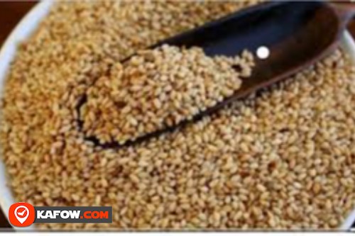 Al Baz for Grain & Seeds Trading