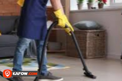 Experts Pest Control & Cleaning Service