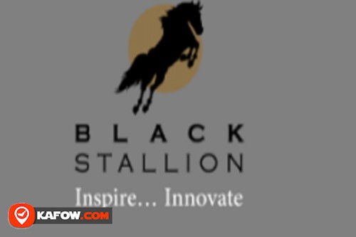 Black Stallion Furniture & Upholstery