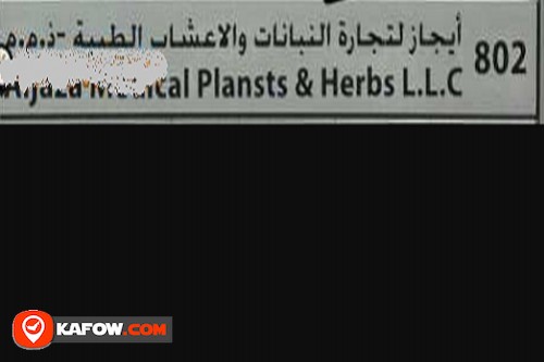 Anjaza Medical Planets & Herbs LLC