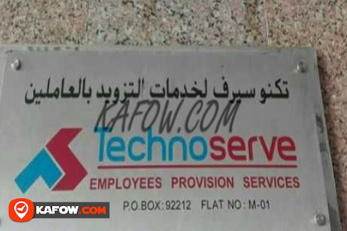 Technoserve Employees Provision Services