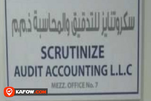 Scrutinize Audit Accounting LLC