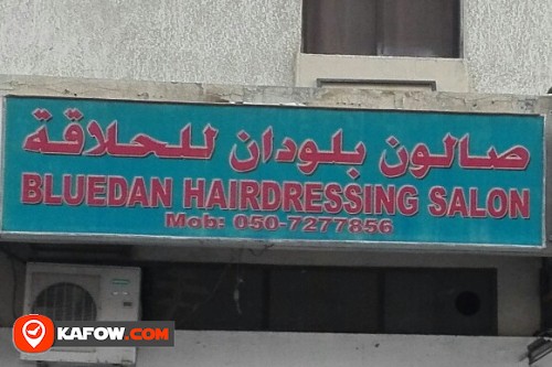 BLUEDAN HAIRDRESSING SALON